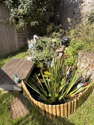 Photo 21- click for photo gallery